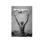 Boy releases duck in the air