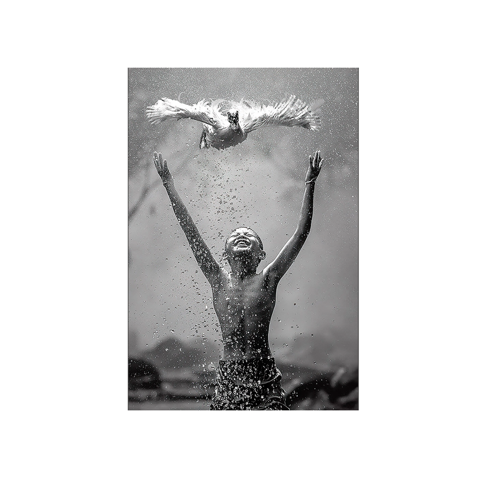 Boy releases duck in the air