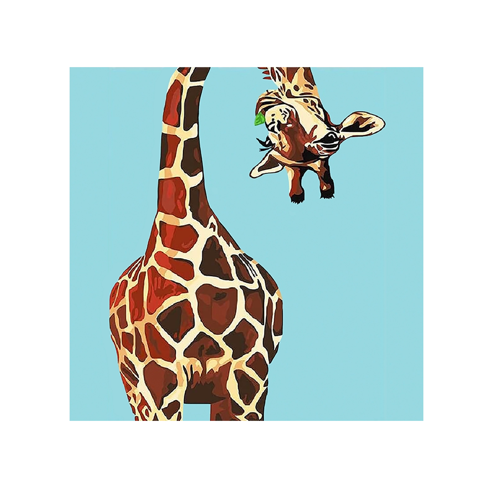Giraffe looks down