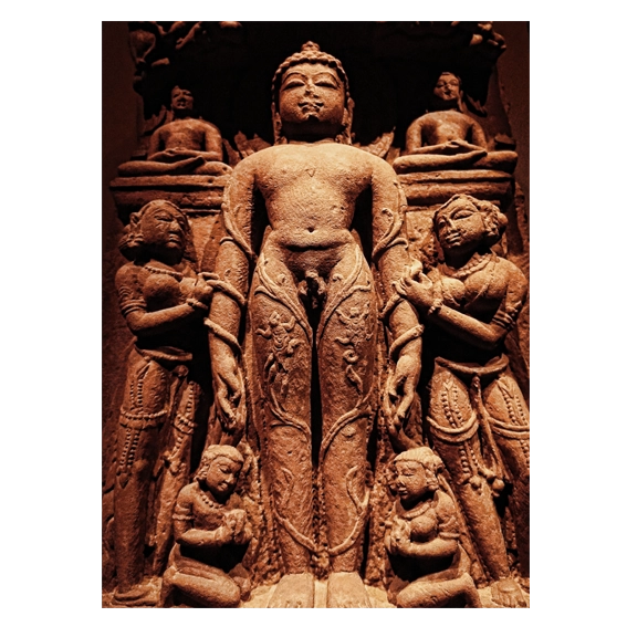 Jain Tirthankara in beeld (India)