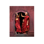 Novice monks (Myanmar)