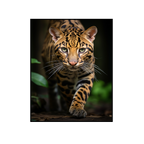 Ocelot on the hunt