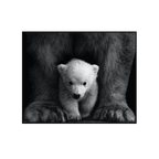 Polarbear with cub