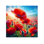 Red poppies