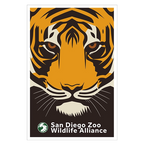 San Diego Zoo - Wildkife Alliance