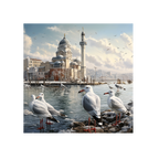 Seagulls in Istanbul