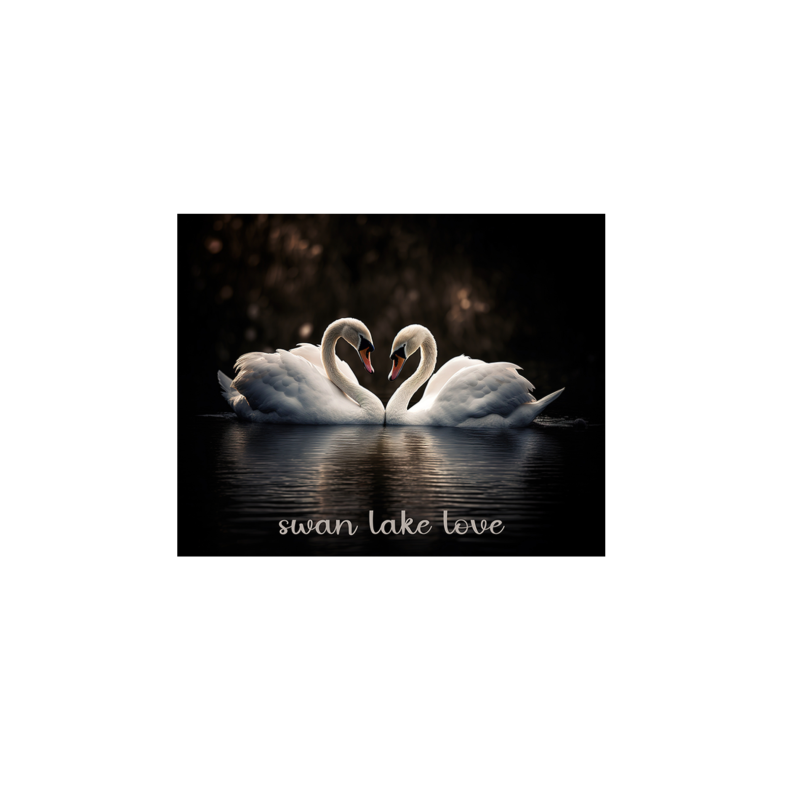 Swan lake love