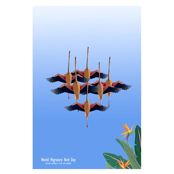 World Migratory Bird Day (affiche)