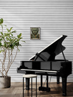 Beethoven poster